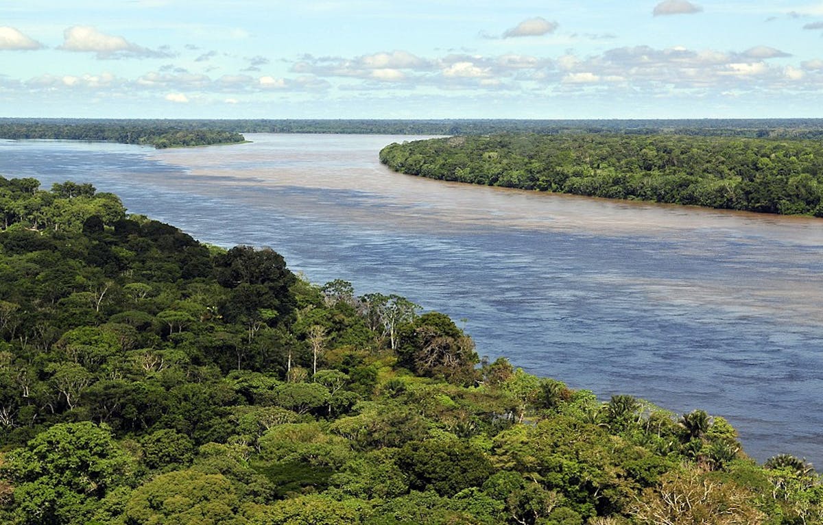 Brazil Cerrado & Atlantic Coast