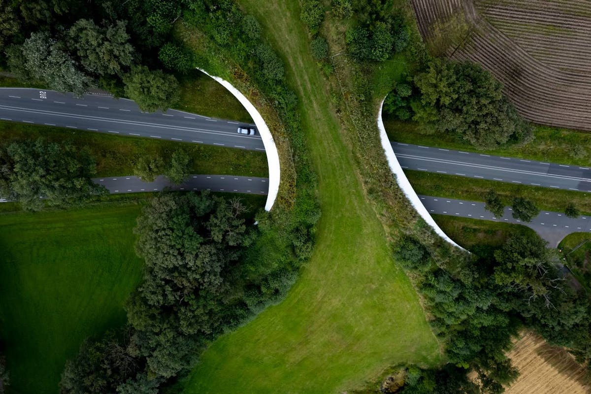Wildlife Connectivity