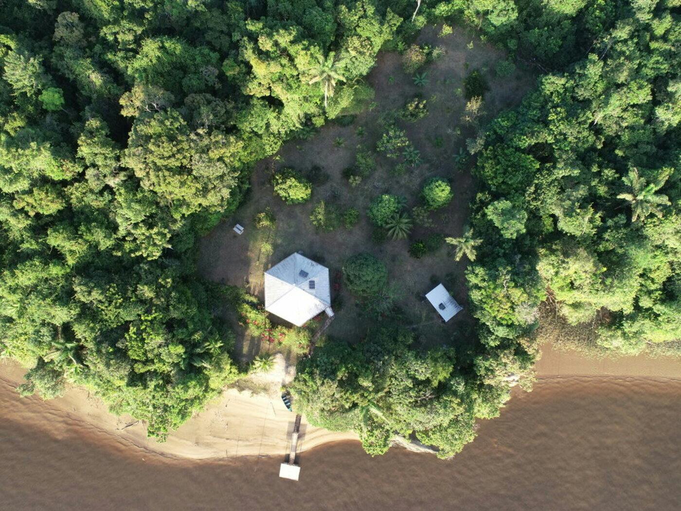 Preserving Critical Rainforests and Transforming Education at Sophia Point, Guyana